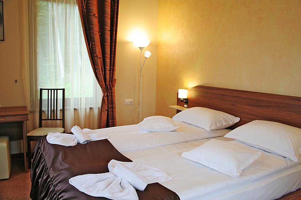 Vila Silvia Sovata Zimmer foto