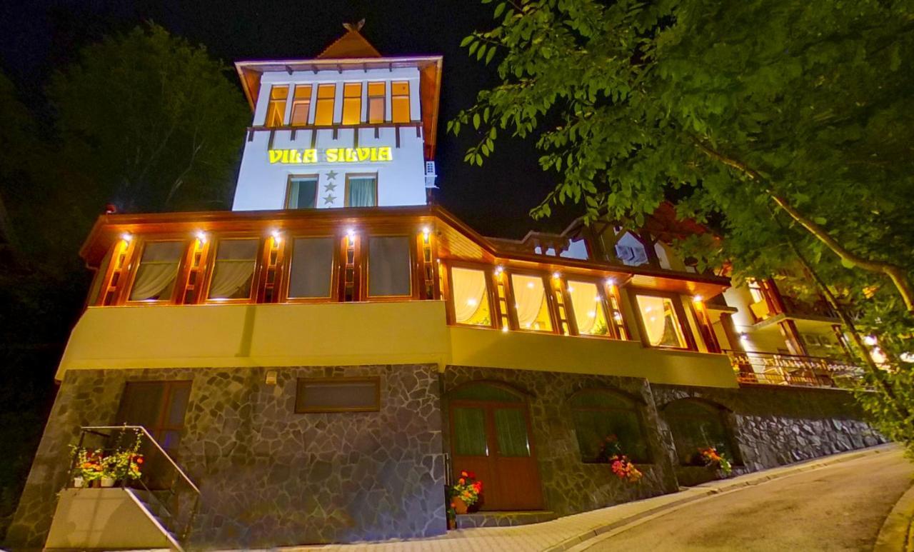 Vila Silvia Sovata Exterior foto