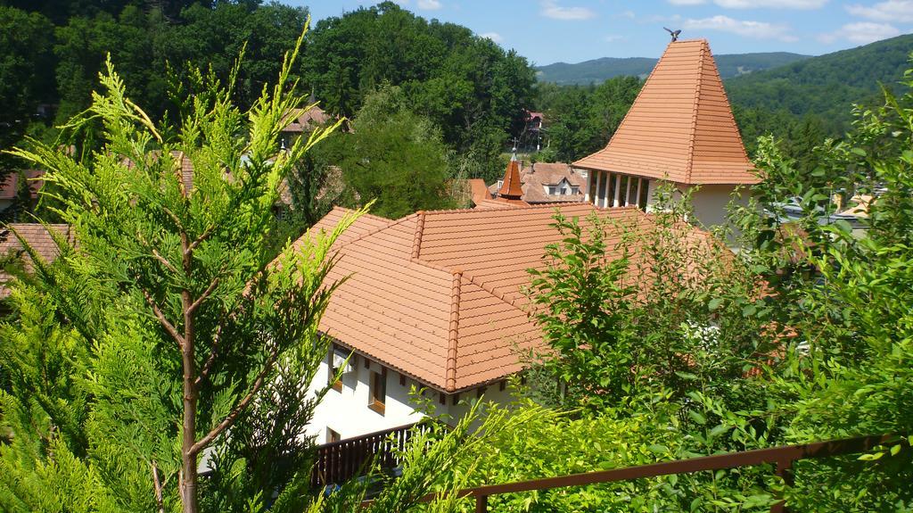 Vila Silvia Sovata Exterior foto