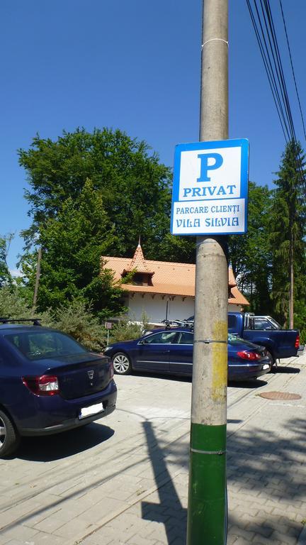 Vila Silvia Sovata Exterior foto